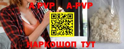 амф Кингисепп