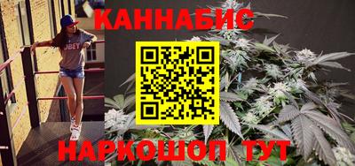 амф Кингисепп