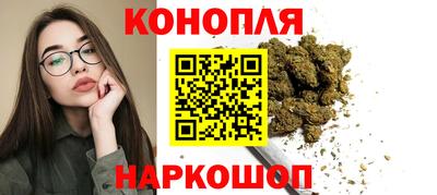 амф Кингисепп